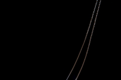 Whalefish - Velvet -Barbourisiidae Family - Barbourisia rufa