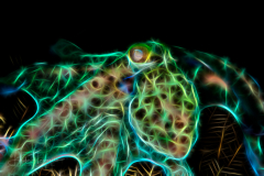 Fractal Art Caribbean reef octopus - Octopus briareus