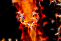 Fractal Art - Longsnout Seahorse - Hippocampus reidi