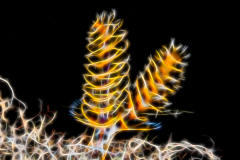 Fractal Art - Tube Worm