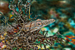 Fractal Art - Yellowface Pikeblenny - Chaenopsis limbaughi
